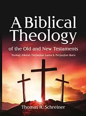 A biblical theology of the old and new testaments 
