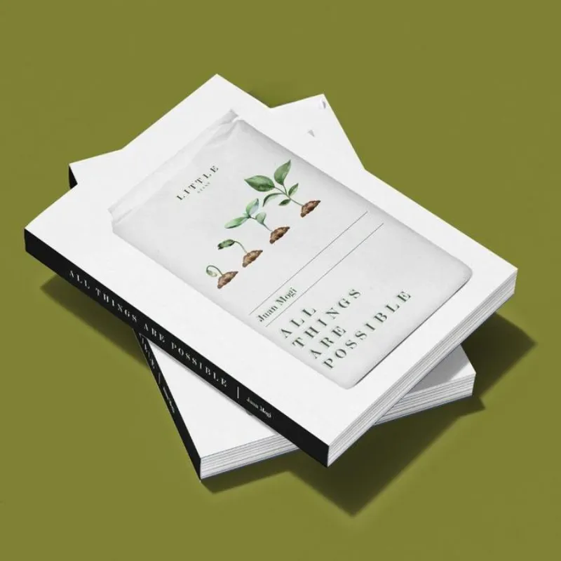 Buku All Things Are Possible  oleh Juan Mogi