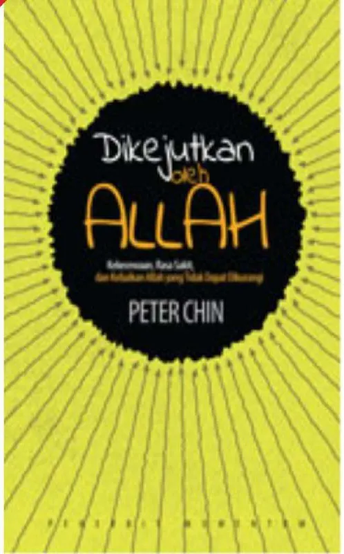 Buku Dikejutkan oleh Allah oleh Peter  Chin
