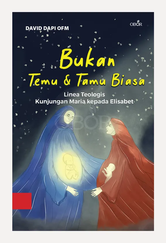 Buku Bukan Temu & Tamu Biasa oleh David Dapi OFM