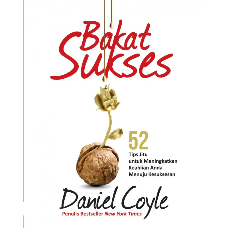 Buku Bakat Sukses oleh Daniel Coyle