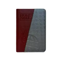 Holy Bible 064 TI NIV Compact Bible