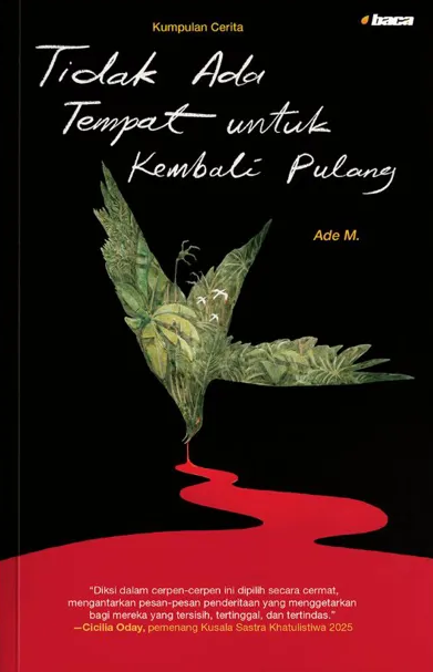 Buku Tidak Ada Tempat untuk Kembali Pulang oleh Ade M.