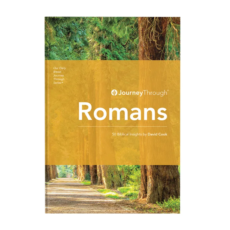Buku Journey Through Series - ROMANS REVISED EDITION