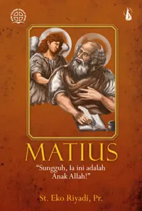 Matius, Sungguh, Ia Ini Adalah Anak Allah