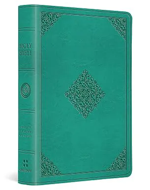 Buku Holy Bible ESV English Standart Version -  Value Large Print Compact Bible Trutone