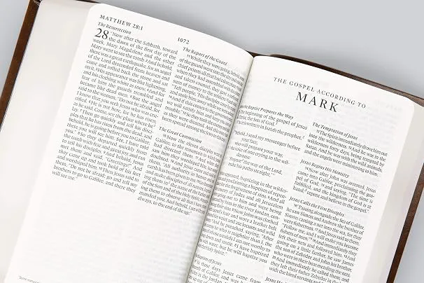 Buku Holy Bible ESV English Standart Version -  Value Large Print Compact Bible Trutone
