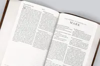 Buku Holy Bible ESV English Standart Version -  Value Large Print Compact Bible Trutone — gambar 3