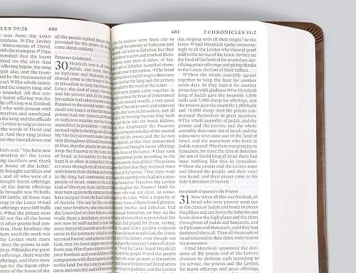 Buku Holy Bible ESV English Standart Version -  Value Large Print Compact Bible Trutone