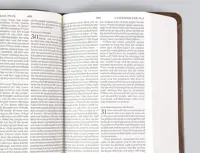 Buku Holy Bible ESV English Standart Version -  Value Large Print Compact Bible Trutone — gambar 4