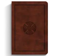 Buku Holy Bible ESV English Standart Version - Large Print Compact Bible TruTone — gambar 2