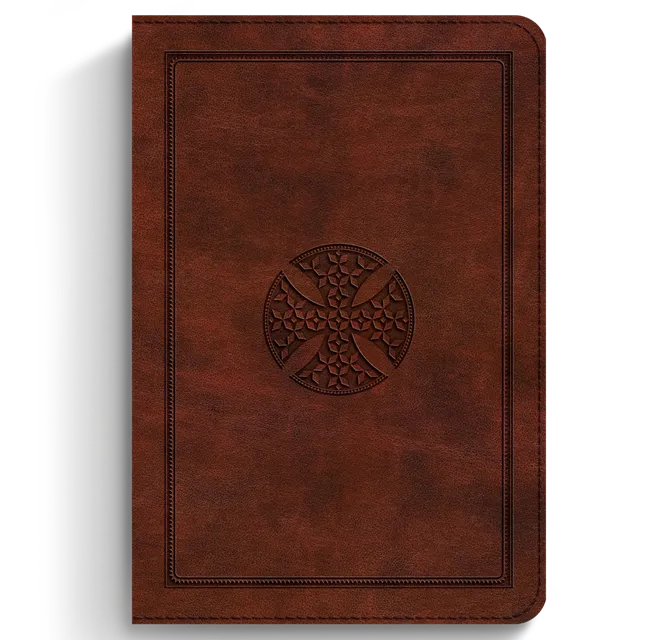 Buku Holy Bible ESV English Standart Version - Large Print Compact Bible TruTone