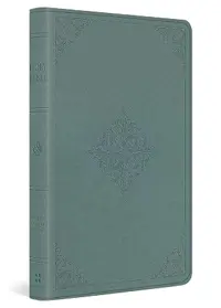 Holy Bible ESV English Standard Version - Value Thinline Bible Trutone — sampul