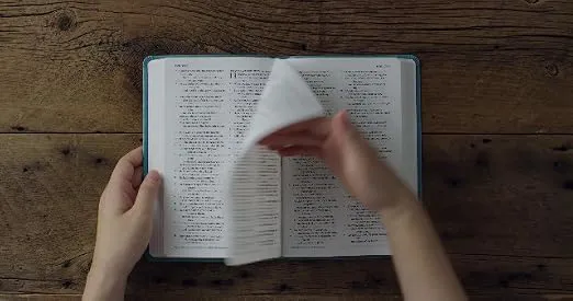 Buku Holy Bible ESV English Standard Version - Value Thinline Bible Trutone