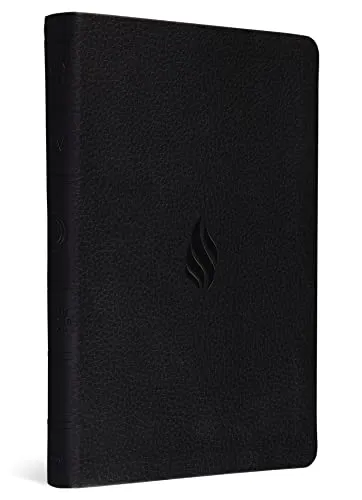 Buku Holy Bible ESV English Standard Version - Premium Gift Bible Trutone